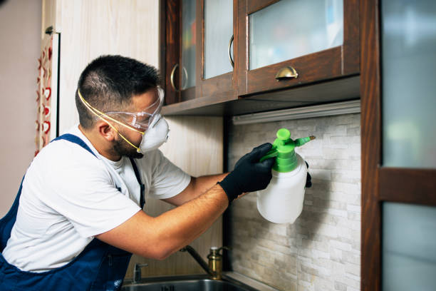 Best Pest Removal Services  in Veneta, OR