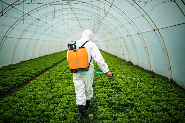 Best Pest Prevention Services  in Veneta, OR