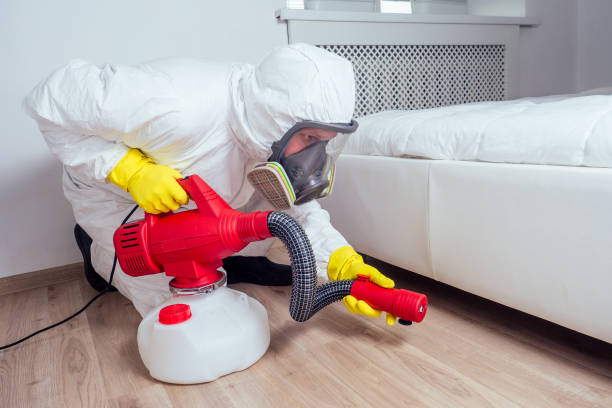 Best Flea Control Services  in Veneta, OR