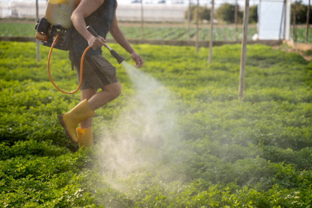 Best Commercial Pest Control Services  in Veneta, OR