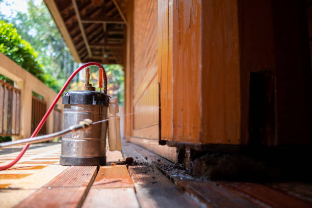 Best Rat Extermination Near Me  in Veneta, OR