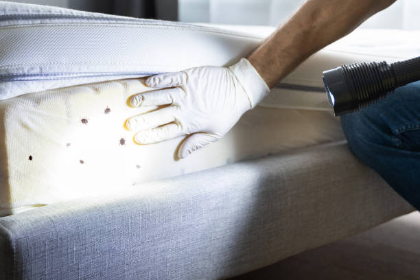 Best Emergency Pest Control  in Veneta, OR