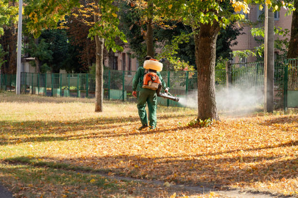 Best Wildlife Control Services  in Veneta, OR