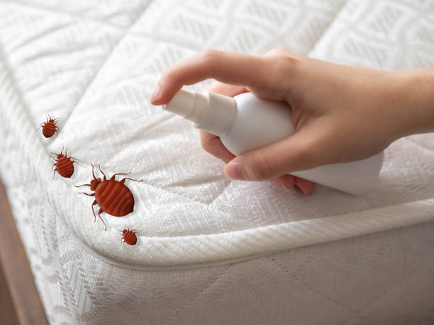 Best Bed Bug Extermination  in Veneta, OR