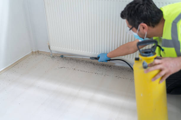 Best Local Pest Control Services  in Veneta, OR